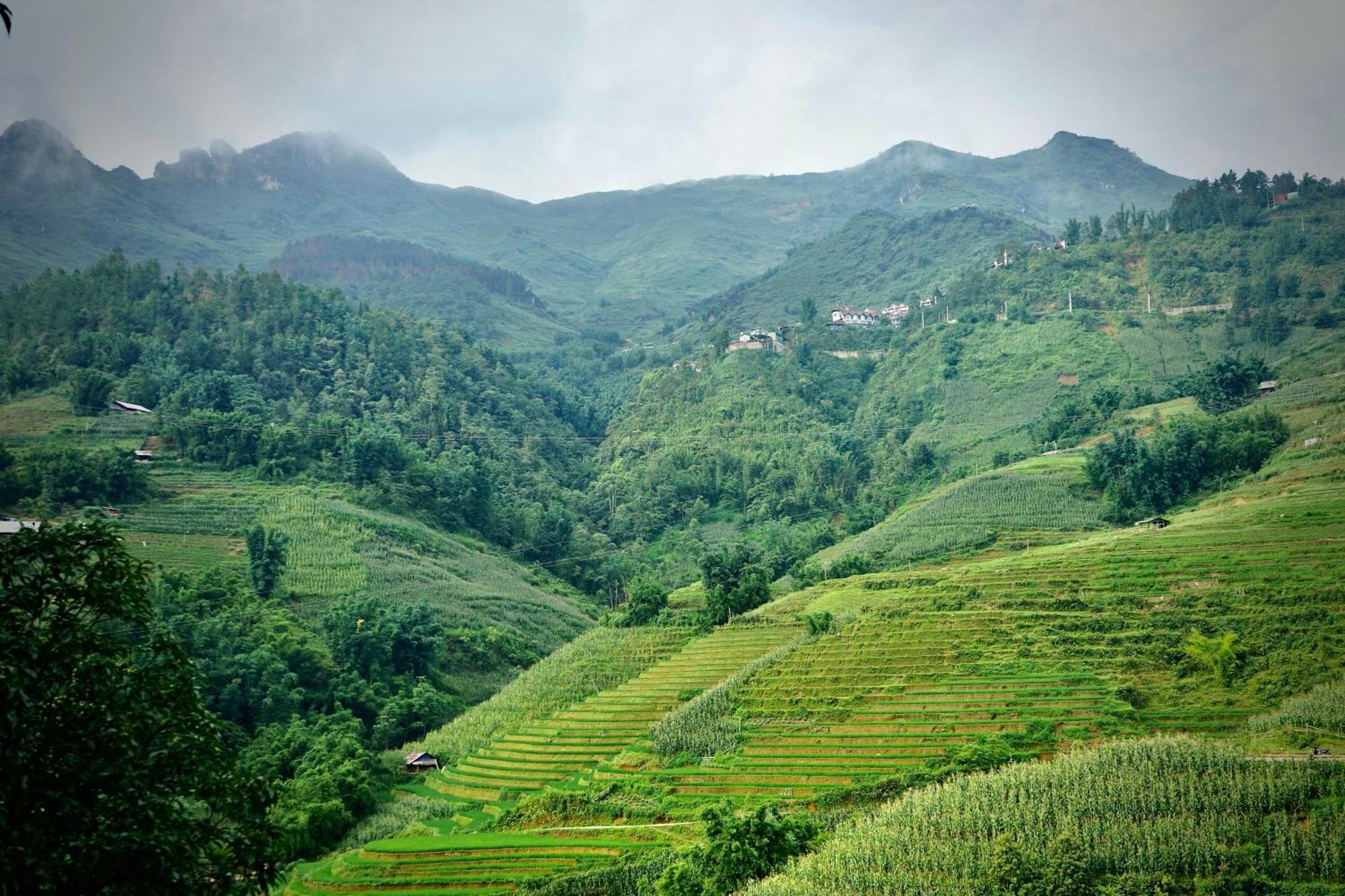 Sapa Hillcrest Homestay Lào Cai Ngoại thất bức ảnh