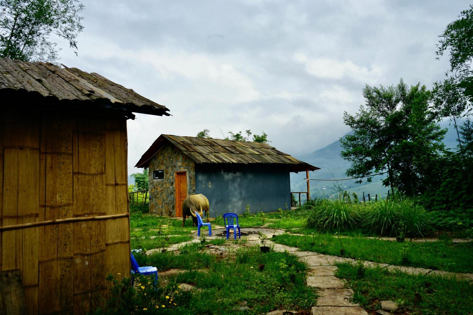 Sapa Hillcrest Homestay Lào Cai Ngoại thất bức ảnh