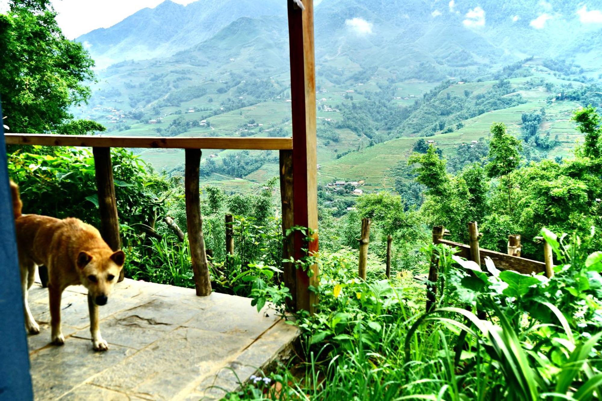 Sapa Hillcrest Homestay Lào Cai Ngoại thất bức ảnh