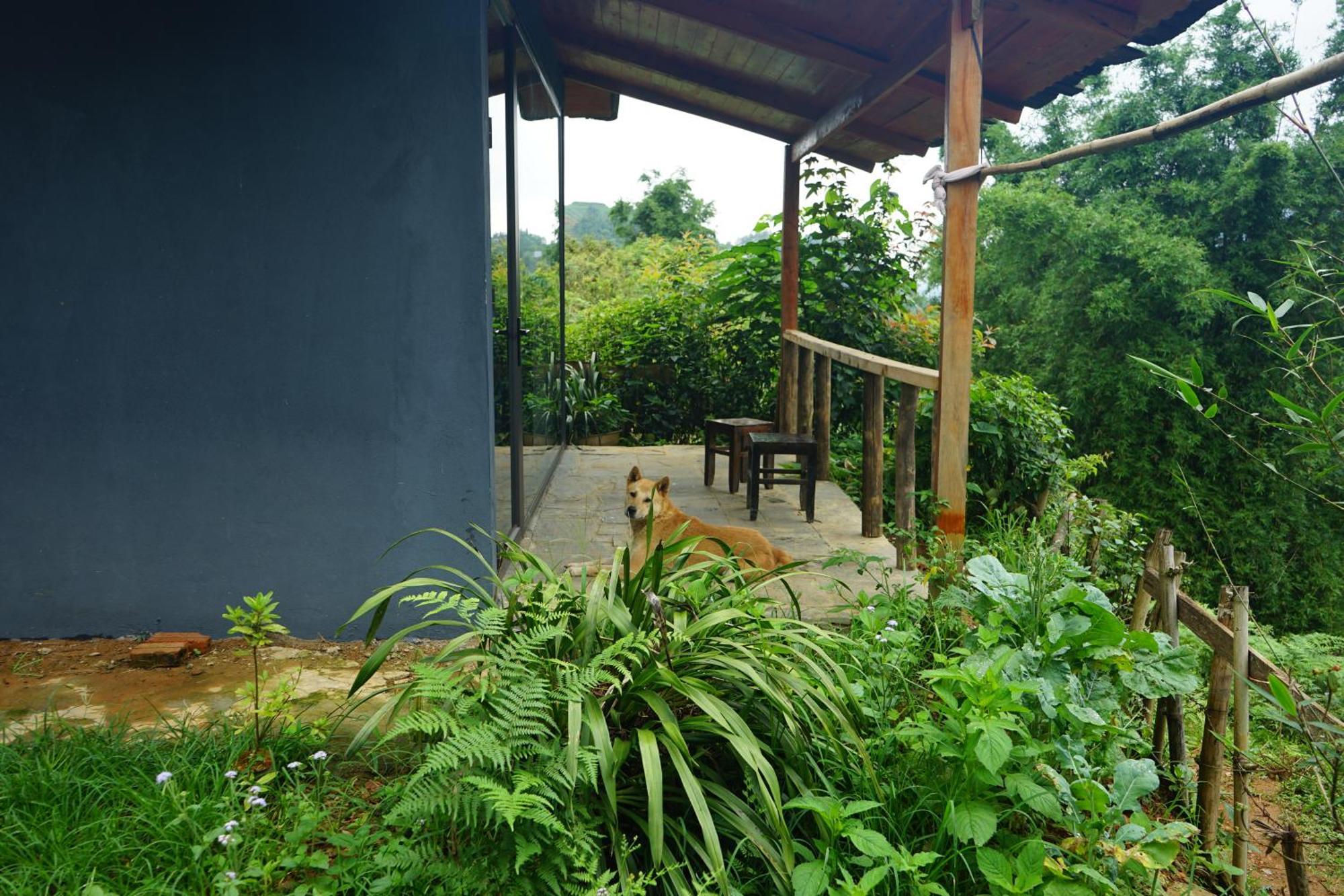 Sapa Hillcrest Homestay Lào Cai Ngoại thất bức ảnh